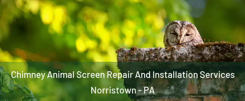  Chimney Animal Screen Repair And Installation Services Norristown - PA