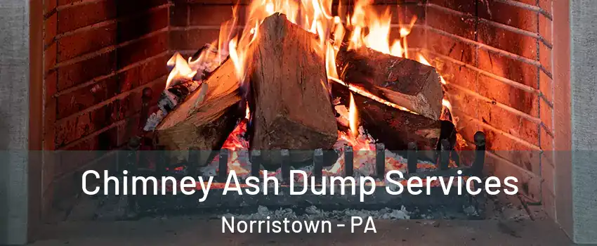  Chimney Ash Dump Services Norristown - PA