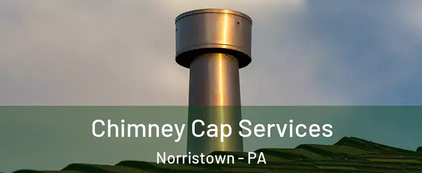  Chimney Cap Services Norristown - PA