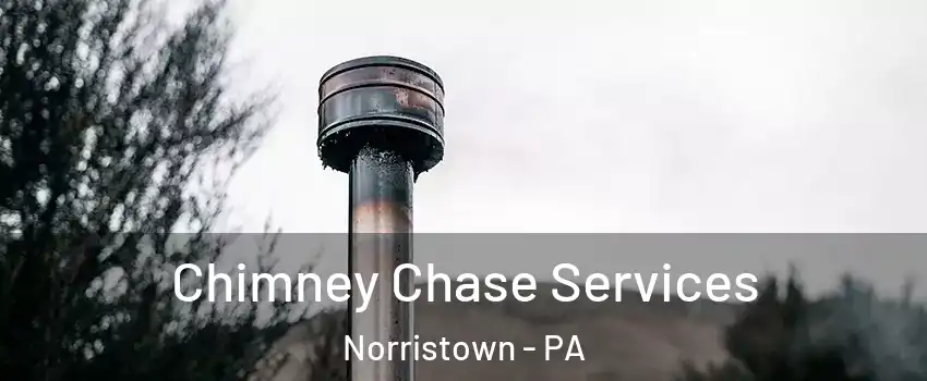  Chimney Chase Services Norristown - PA