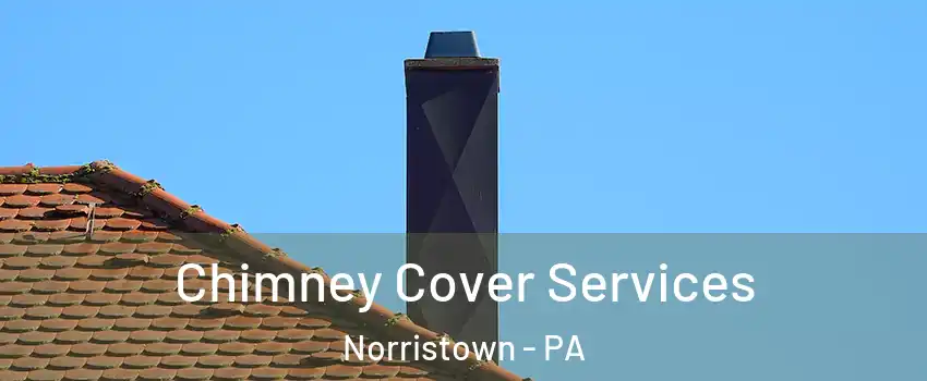  Chimney Cover Services Norristown - PA