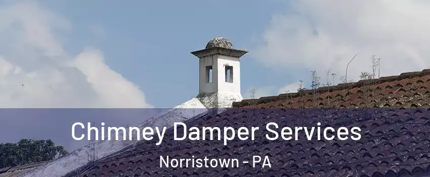  Chimney Damper Services Norristown - PA