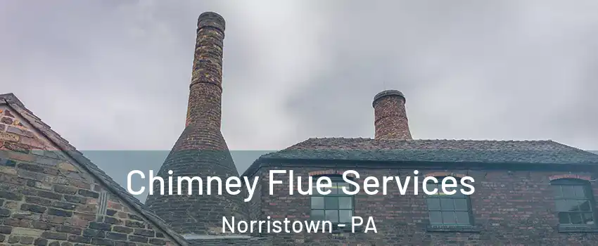  Chimney Flue Services Norristown - PA