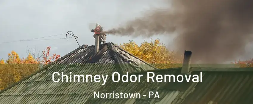  Chimney Odor Removal Norristown - PA