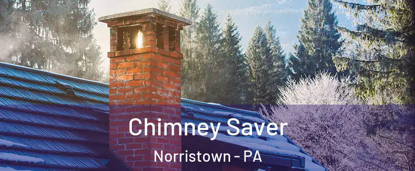  Chimney Saver Norristown - PA