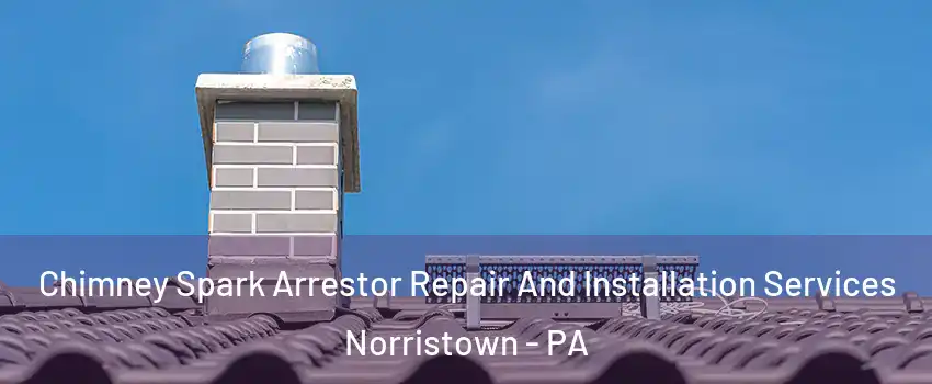  Chimney Spark Arrestor Repair And Installation Services Norristown - PA