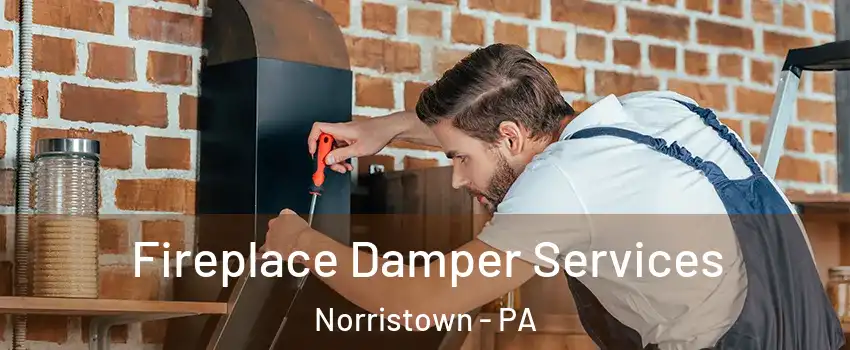  Fireplace Damper Services Norristown - PA