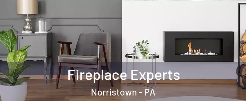  Fireplace Experts Norristown - PA