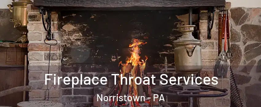  Fireplace Throat Services Norristown - PA