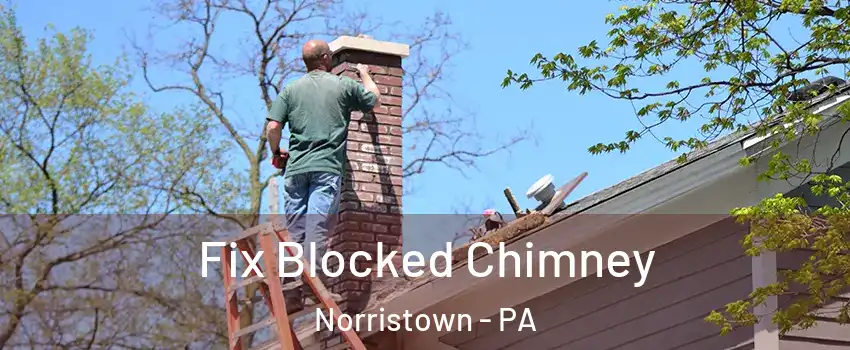  Fix Blocked Chimney Norristown - PA