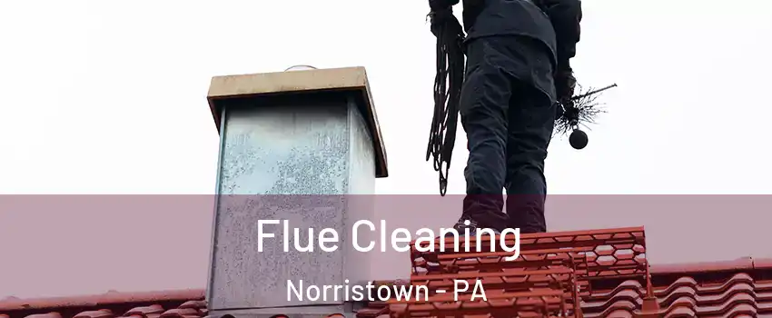  Flue Cleaning Norristown - PA