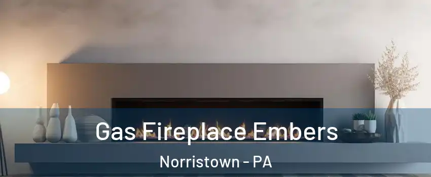  Gas Fireplace Embers Norristown - PA