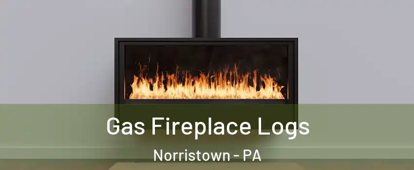  Gas Fireplace Logs Norristown - PA