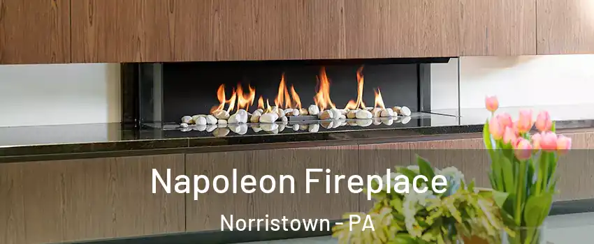  Napoleon Fireplace Norristown - PA