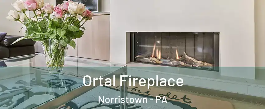 Ortal Fireplace Norristown - PA