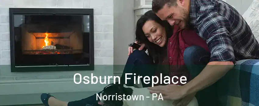  Osburn Fireplace Norristown - PA